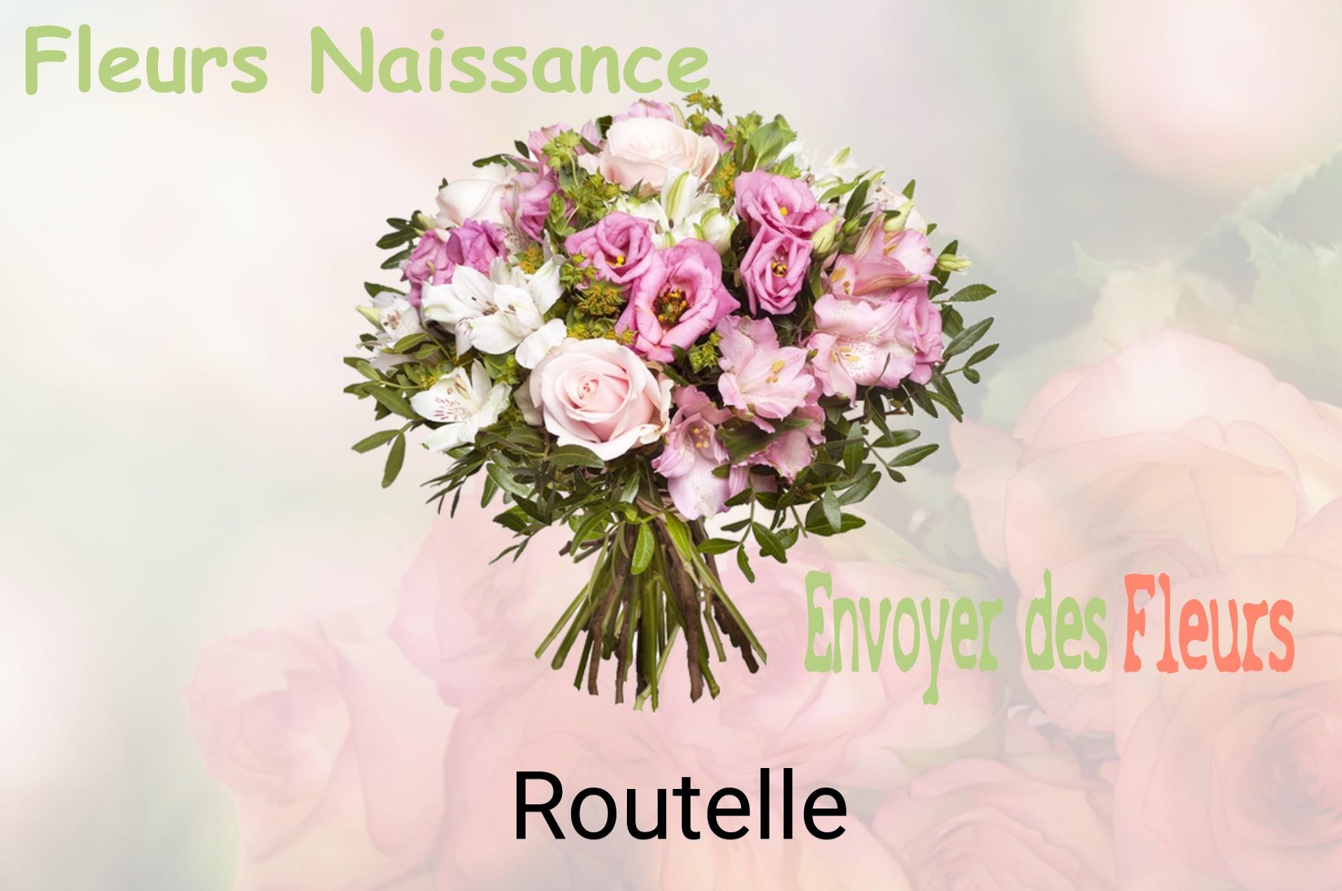Bouquet de fleurs de naissance livré à Routelle