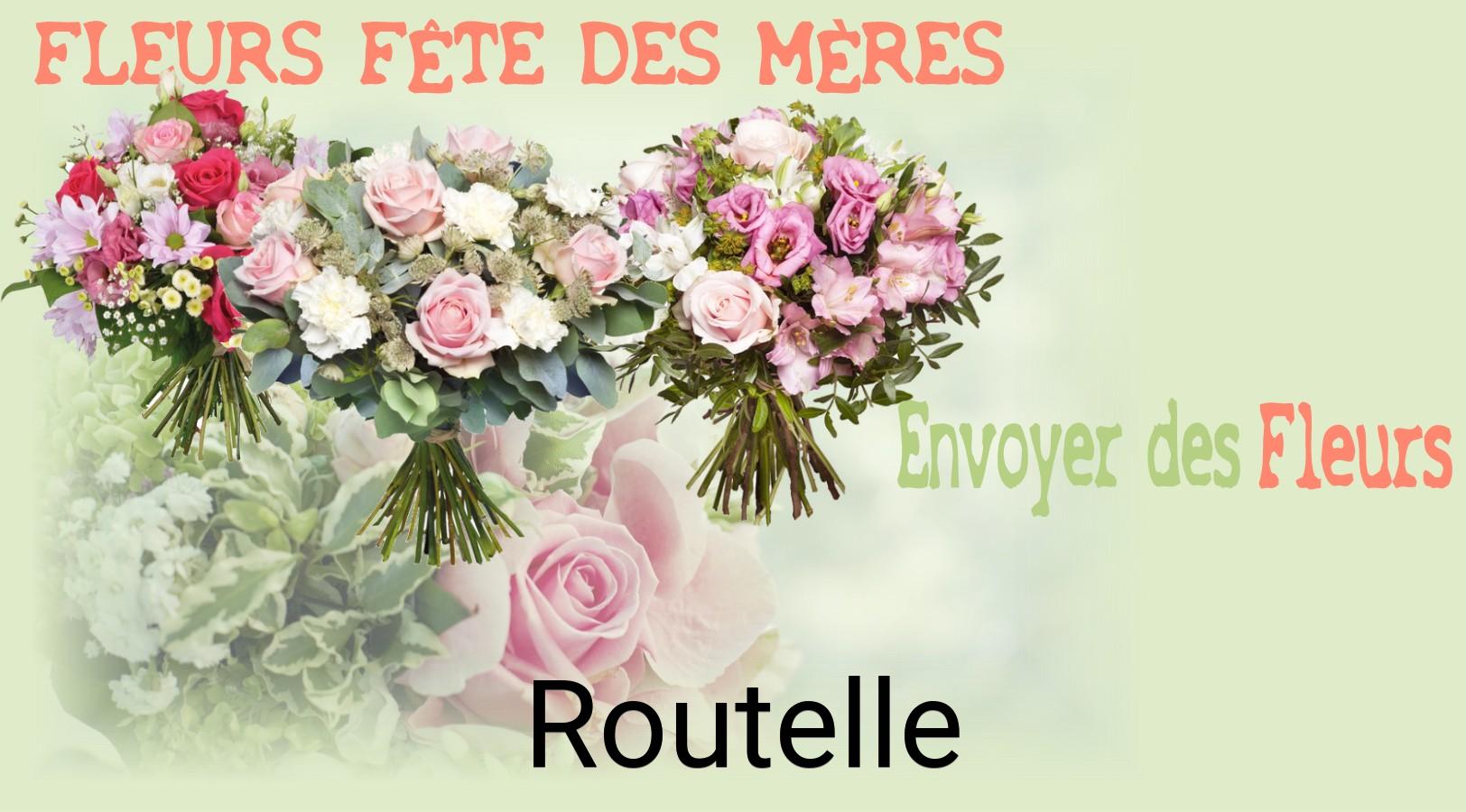 Bouquet de Fête des Mères livré à Routelle